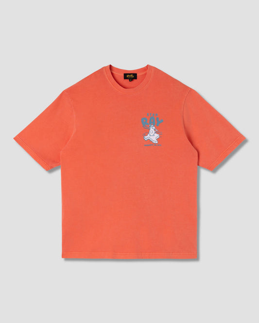 Polar State Tee (Washed Red)