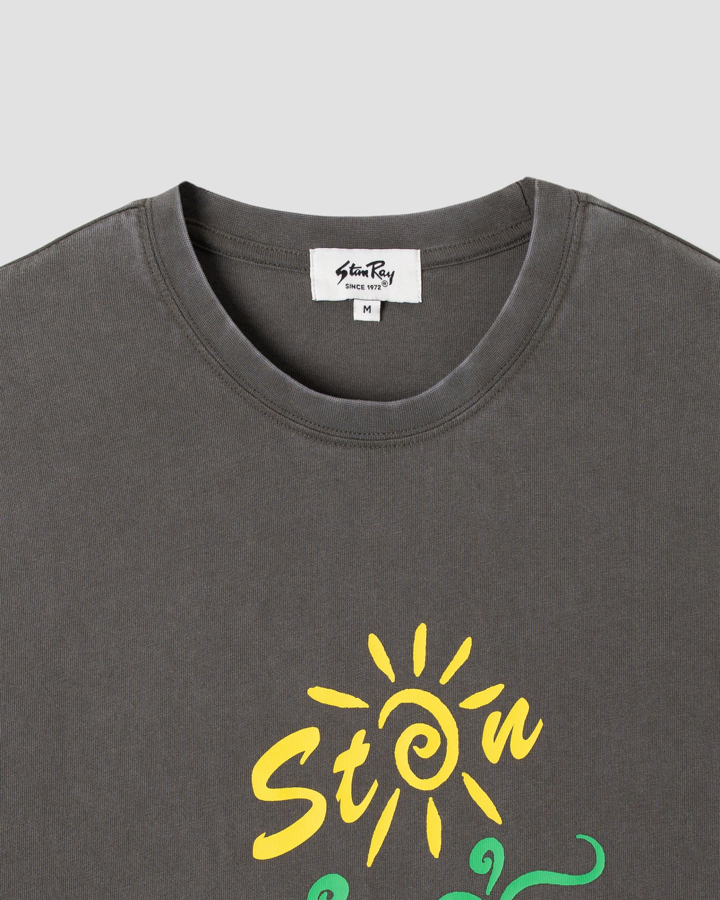 Ray Vine T-Shirt (verwaschenes Schwarz)