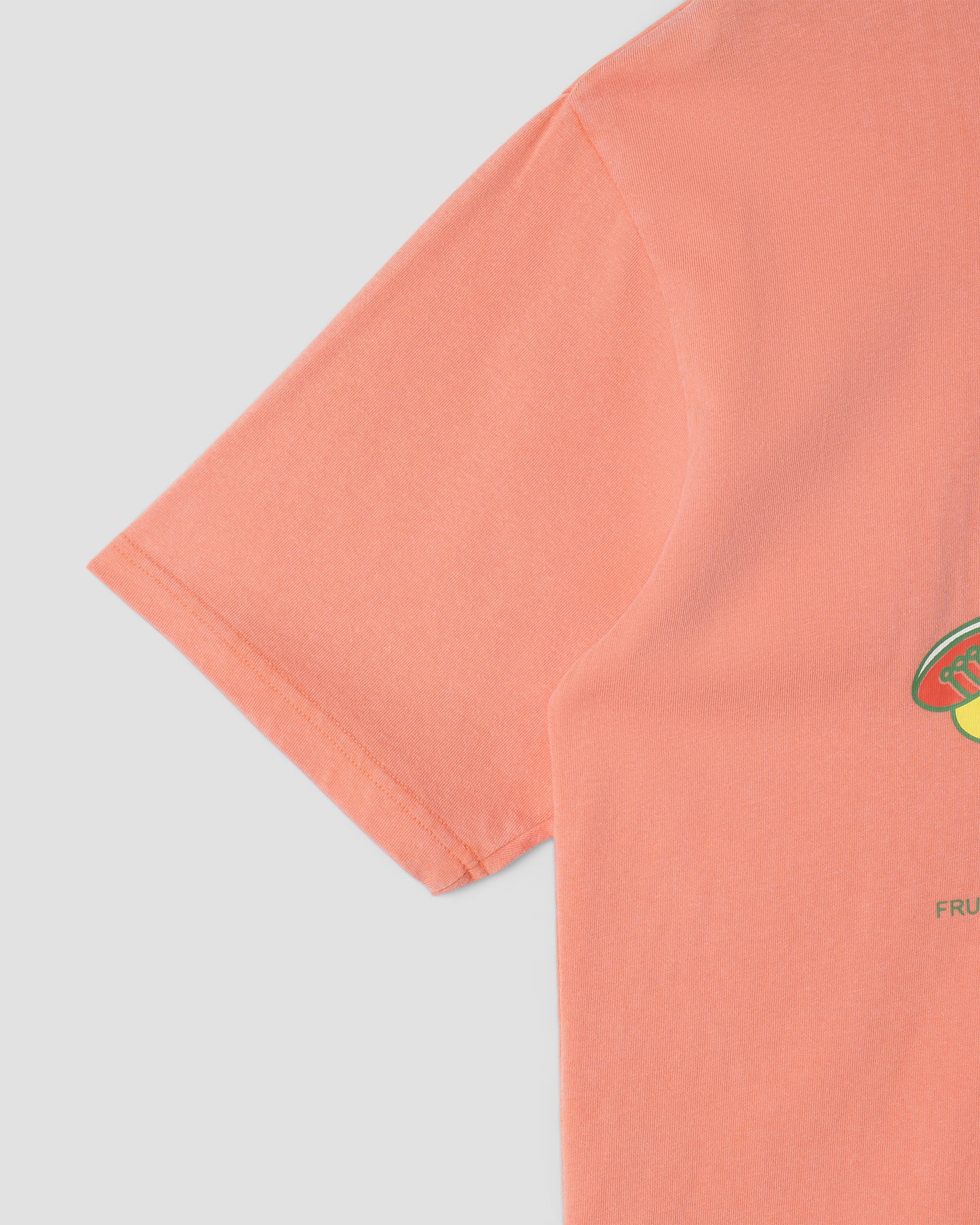 T-shirt Stan Dunk (rouge délavé)