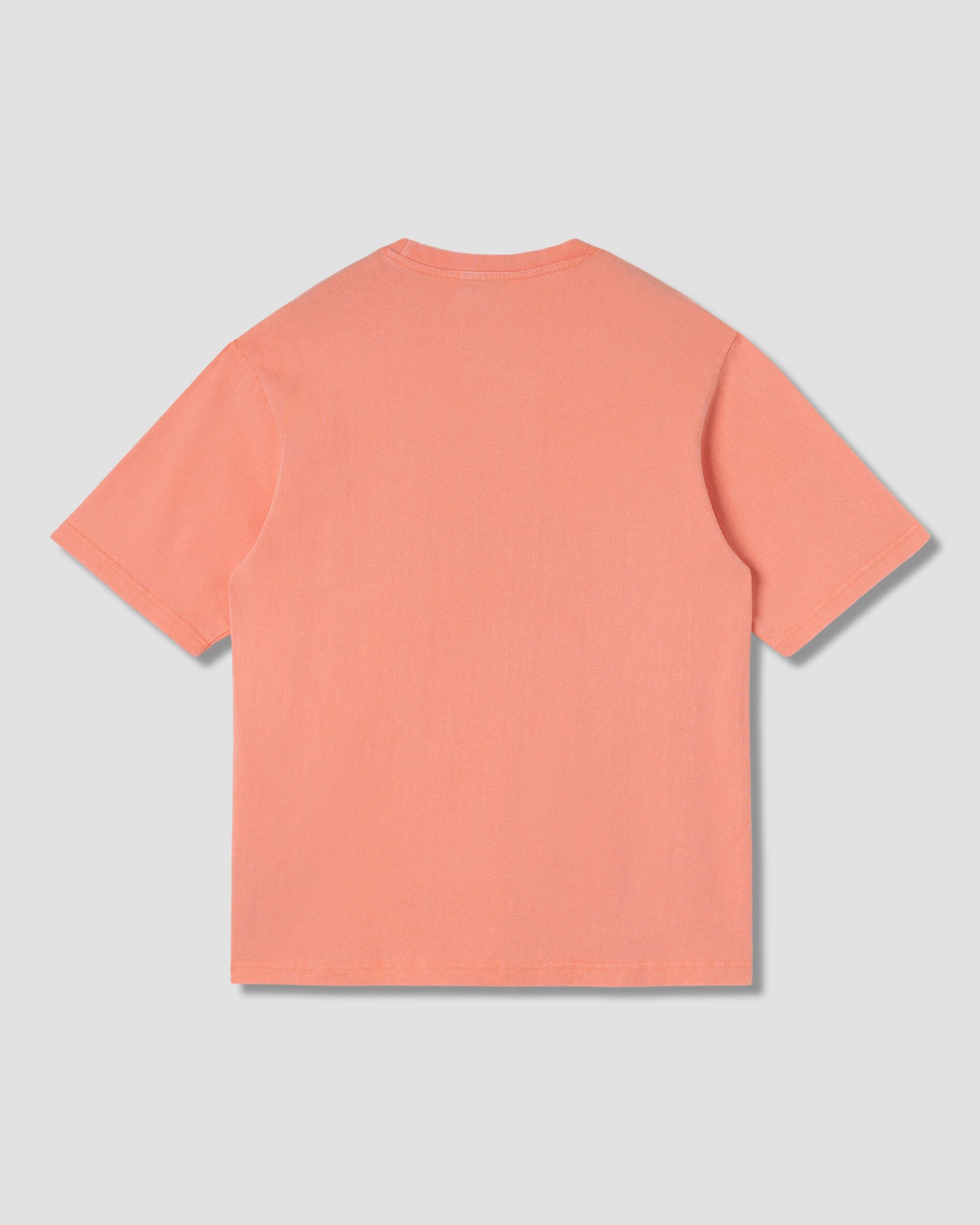 T-shirt Stan Dunk (rouge délavé)