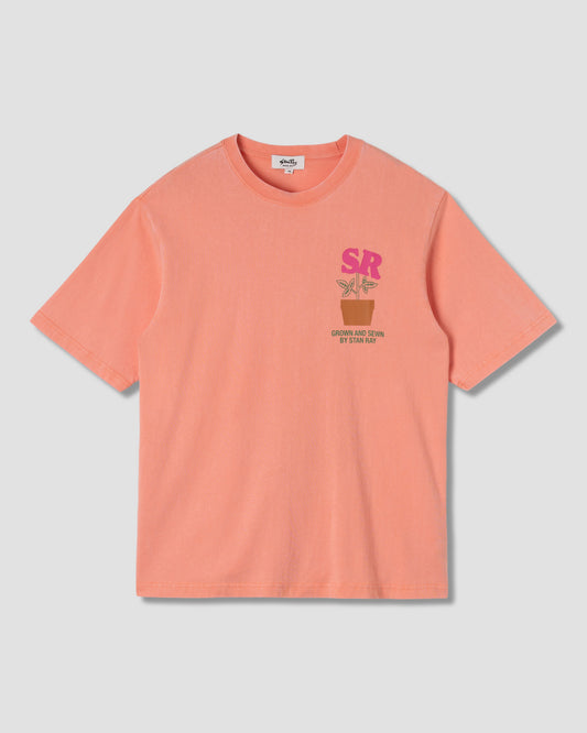 Dirt T-Shirt (Washed Red)