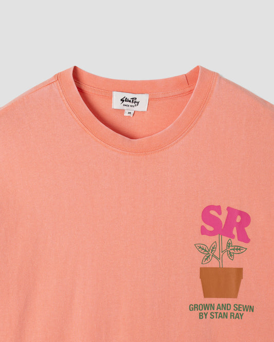 Dirt T-Shirt (Washed Red)