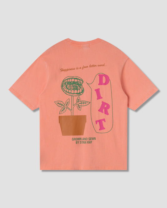Dirt T-Shirt (Washed Red)
