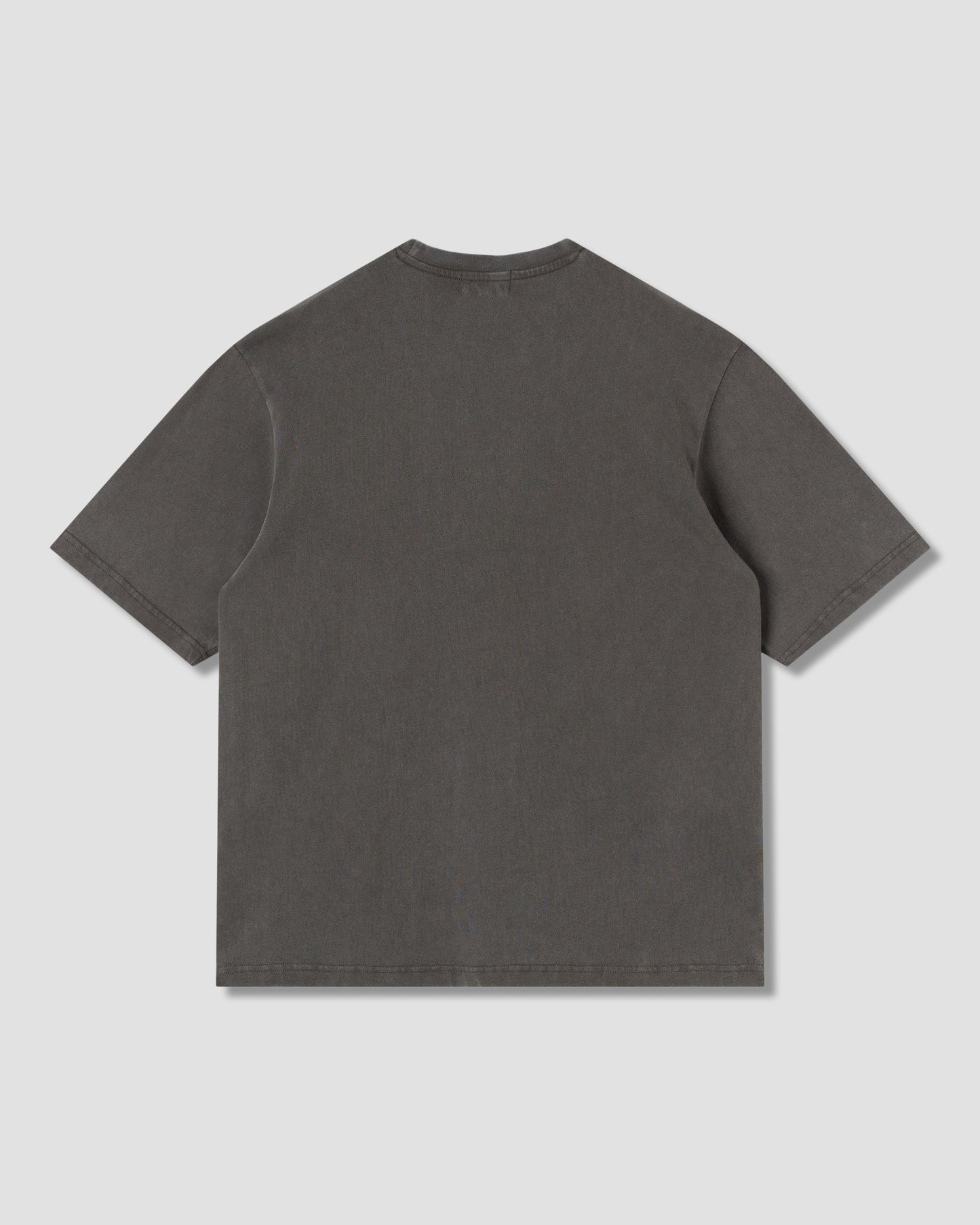 Ray Vine T-Shirt (Washed Black)