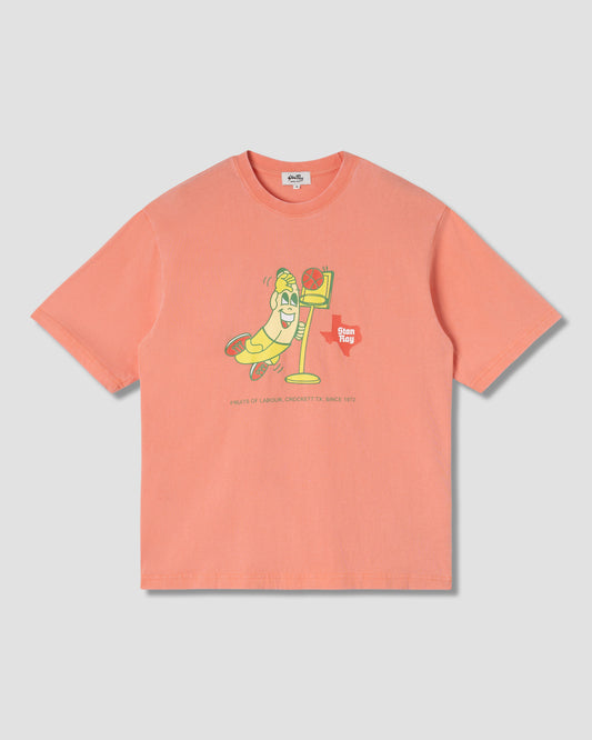 Stan Dunk T-Shirt (Washed Red)