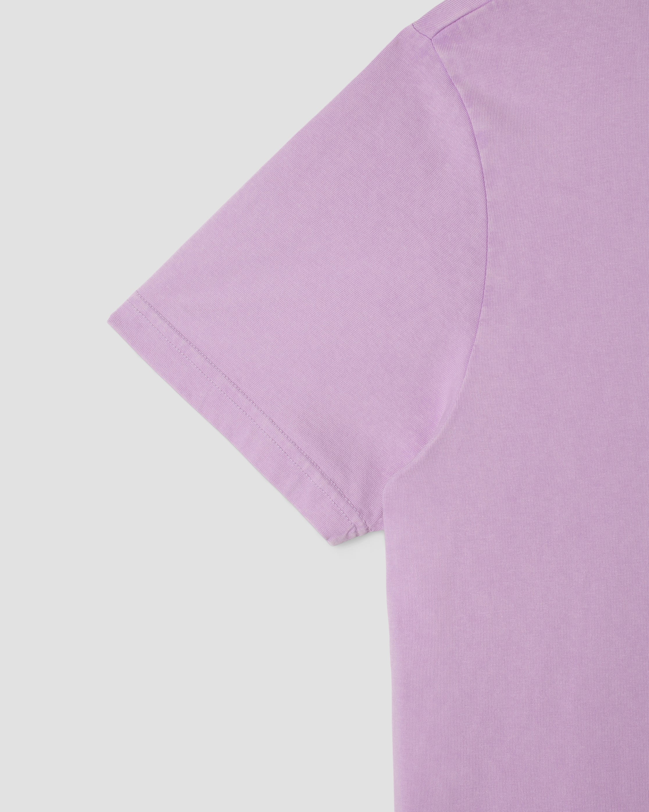 T-shirt Stan OG (violet délavé / imprimé tonal)