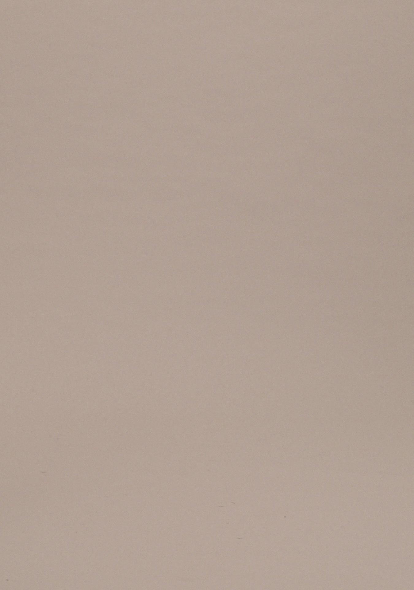 Big Job Painter (70s Stone Denim)