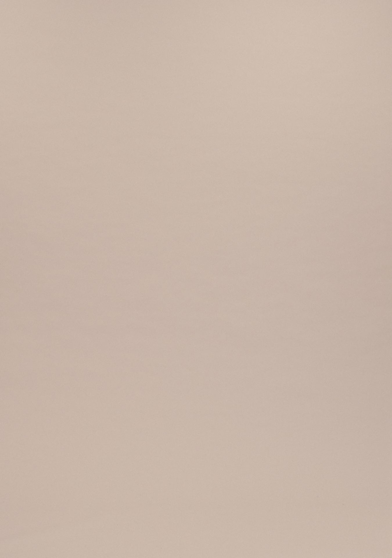 Painters Pop Over Shirt (Botanical Green Bedford)